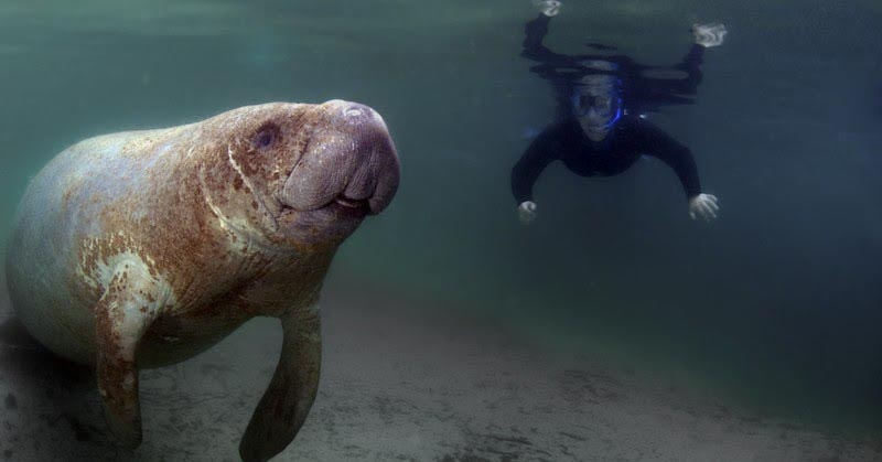 7 Cool Things To Do In Florida This Year!