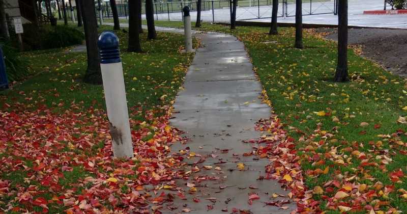 7 School Memories That Sum Up The Nostalgia Of A Magical Second Home 