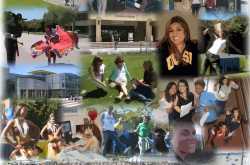 7th February 2010 | Lessons from Life.