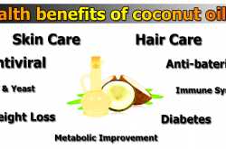 8 Health benefits of coconut oil with side effects