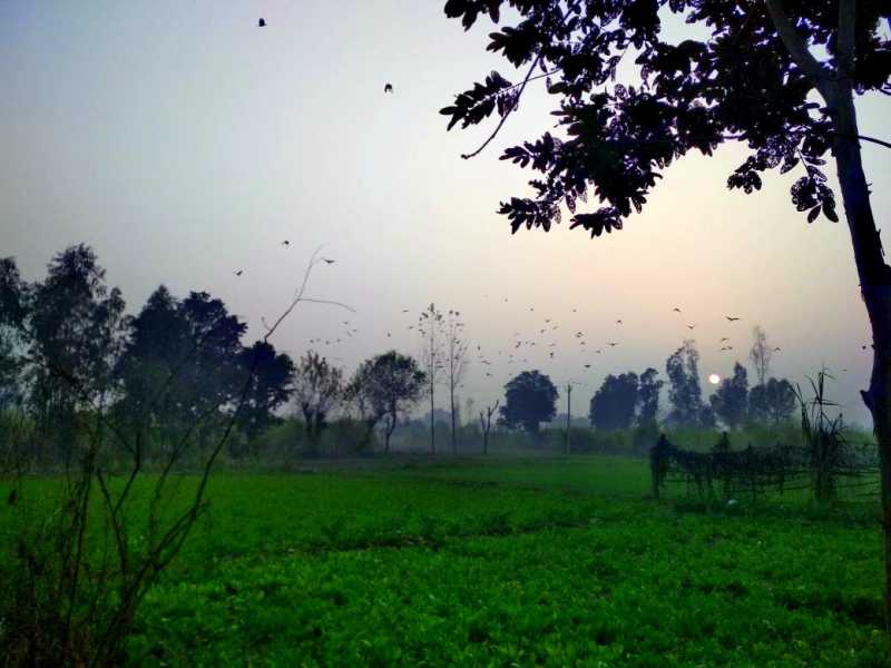 8 Most Important Differences Between Village Life And City Life