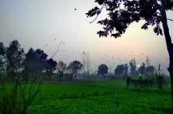 8 Most Important Differences between Village Life and City Life