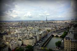 8 Reasons to Visit Paris Right Now