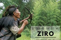 8 Things to do in and around Ziro | Travel Guide