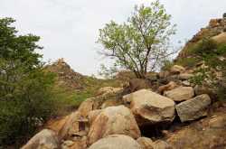 8 Tourist Places near Hyderabad within 100 Kms