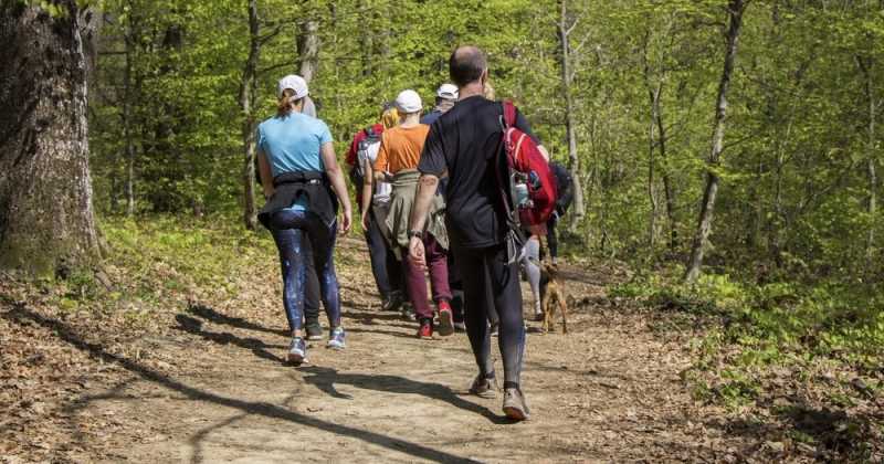 8 Of The Best Things To Do In The Ouachita National Forest