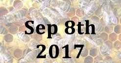 8th September 2017