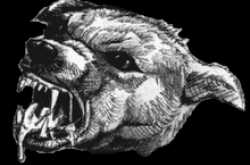 9 Mantras for Viral Marketing