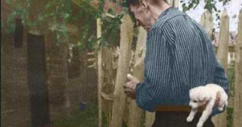 968. A Few Seconds Before Happiness