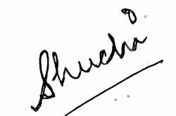 A Beginning...Finally!!