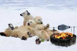 A Breather for Mother Nature.