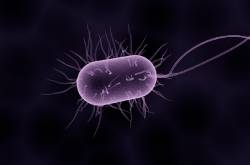 A Brief History of Microbiology With Infographic