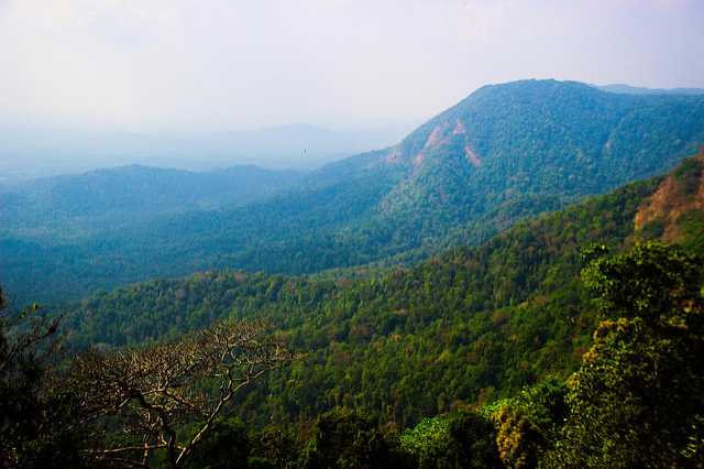 A Chikmanglur Account