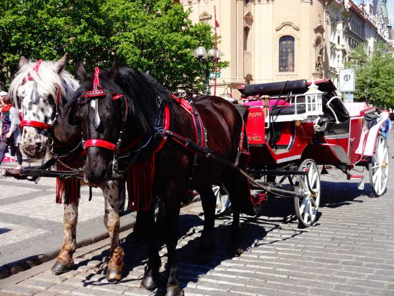 A Complete City Guide To Prague - Ultimate Itinerary And Best Places To Visit