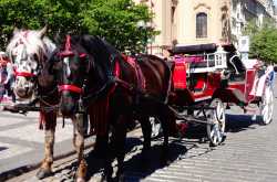 a complete city guide to prague - ultimate itinerary and best places to visit