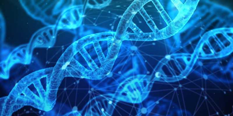 A Complete Guide On Next Generation Sequencing Market Analysis - Trend Ket