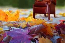 A Couple of Choices - Free Sample