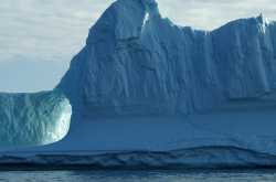 A Curated Trip to Antartica 