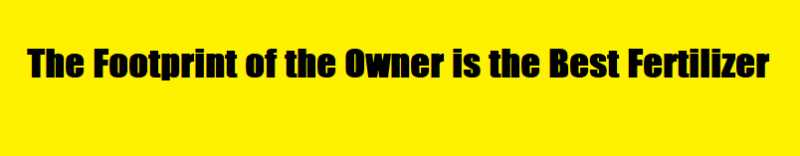 A Curious Phrase To Remember A Lesson Never To Be Forgotten