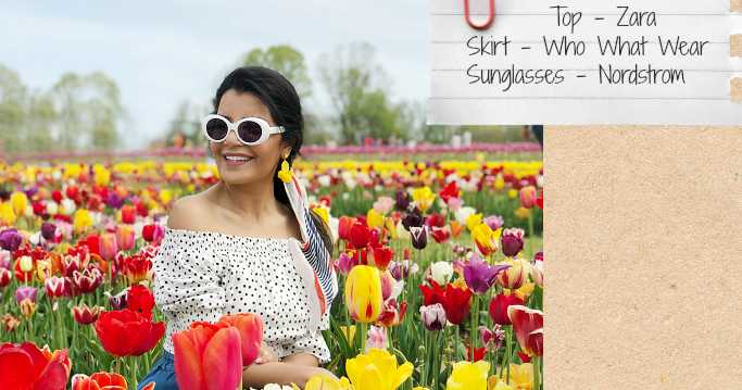 A Day Among Tulip Fields At Holland Ridge Farms, New Jersey