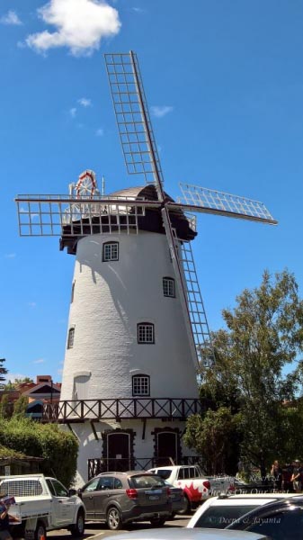A Day’s Romance In Launceston, Tasmania (Australia)