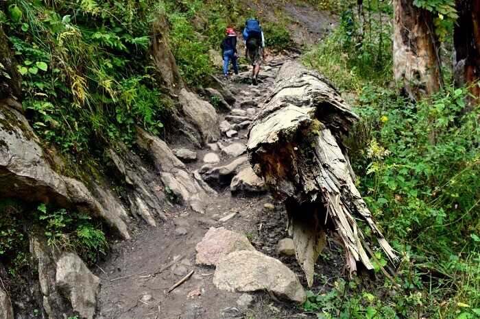 A Detailed Travel Guide For Kheerganga Trek- Distance From Kasol |