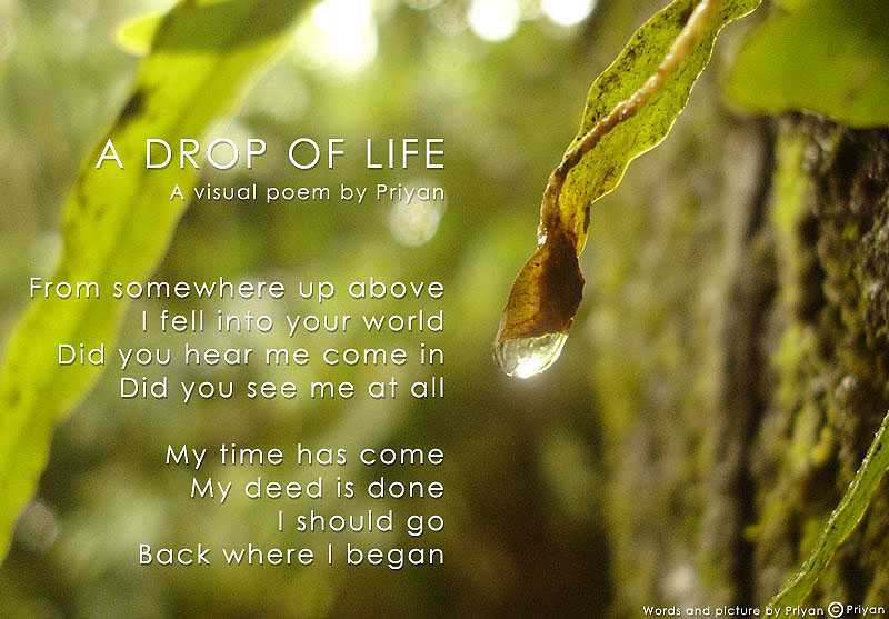 A Drop Of Life