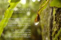 A Drop of Life