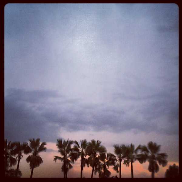 A FEW HUMBLE CLICKS - Pictures From A Camera Phone