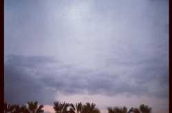 A FEW HUMBLE CLICKS - Pictures from a camera phone