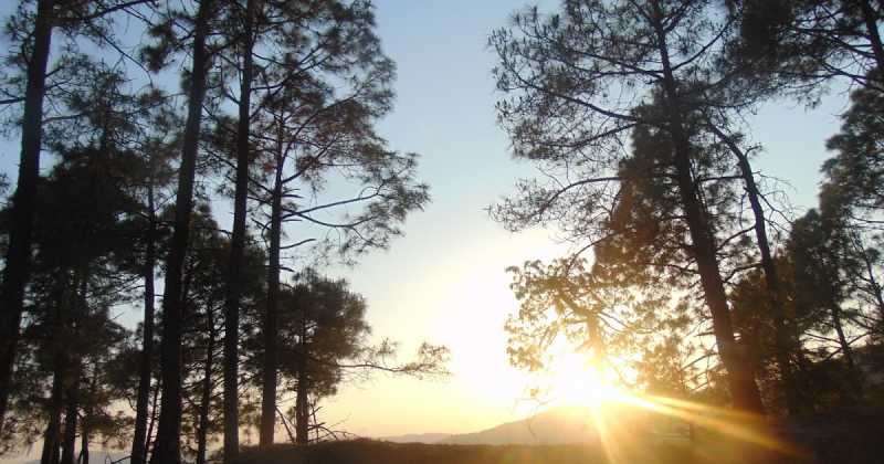 A Few Moments Of Sunset Near Binsar, Uttrakhand (Kumaon)