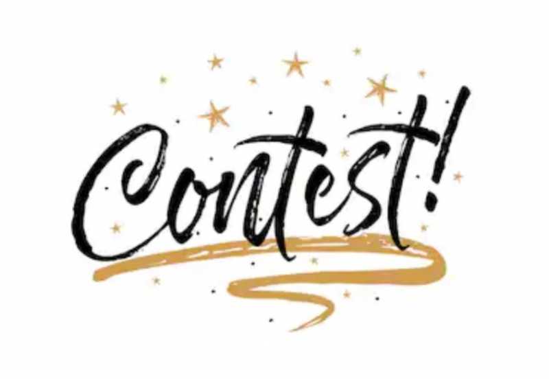 A Functional Perspective Of Getting Votes - How And Why - Voteszone | Votes Kaufen