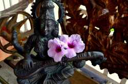 A HOME IN LAP OF HILLS