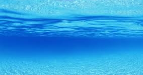 A Layman’s Guide To Blue Ocean Strategy (PART -1)