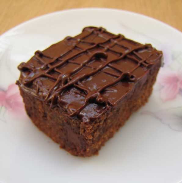A Little Delectable Chocochip Brownie