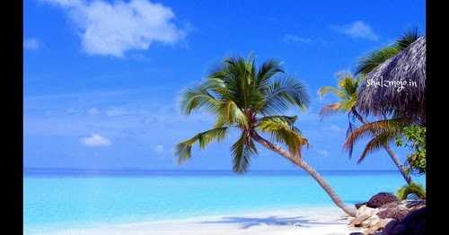 A MALDIVIAN AFFAIR - #Guest Post By SHALINI BAISIWALA