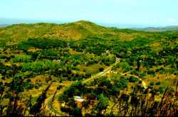 A Malawian Rhapsody...