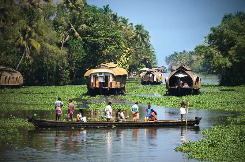 A Mesmerizing Journey In God’s Own Country : Best Things To Do In Alleppey!
