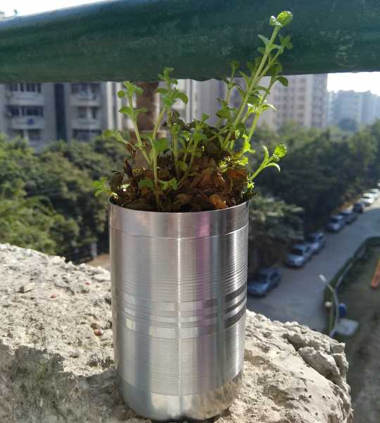 A Message Of Gratitude