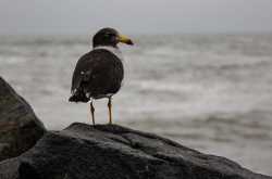 A Photo Walk at Balta