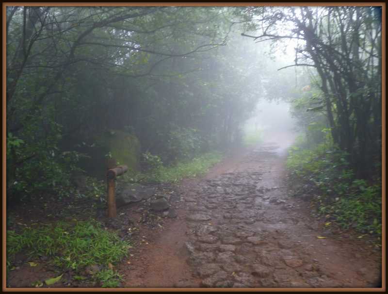 A Piece Of Heaven In The Wild