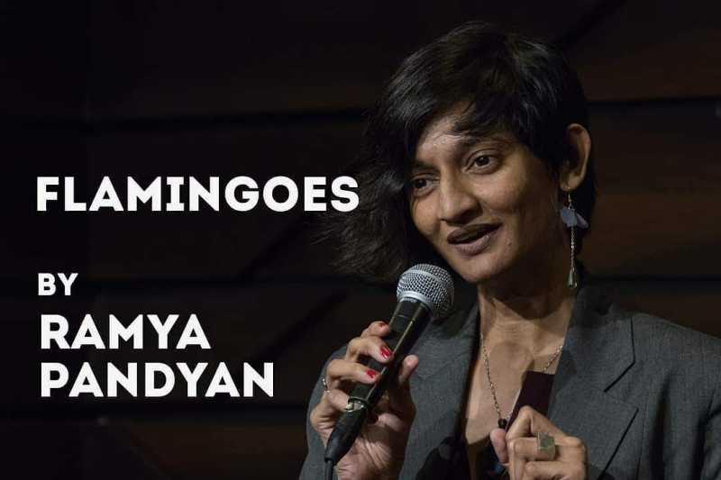 A Pink Bird Flies Through The Ruins