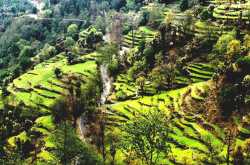 A Rainbow At the End Of The Road
