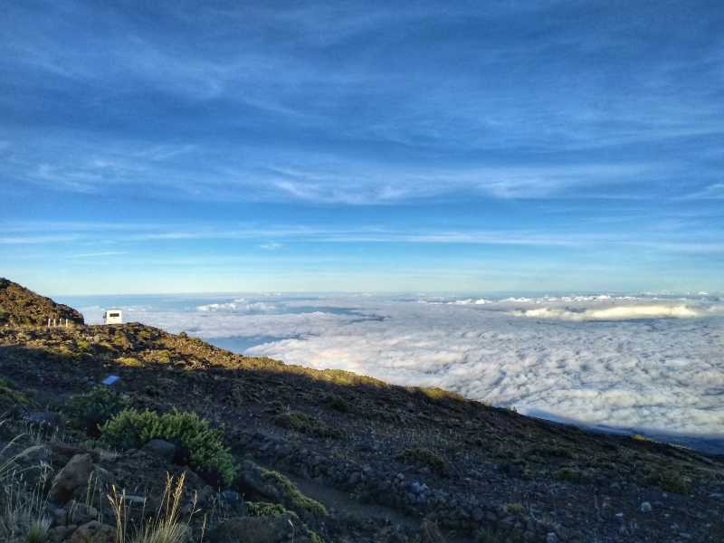 A Road Trip/ Camping Trip/ Budget Trip In Hawaii! • The Inquisitive Robot