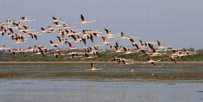 A Roadtrip To Pulicat And Sriharikota