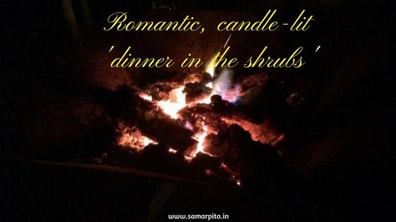 A Romantic Dinner Under The Stars Inside The Satpura Forest
