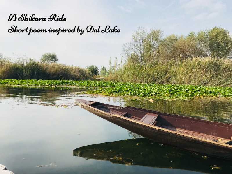 A Shikara Ride - Lonely Canopy Art & Travel