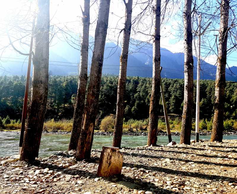 A Short Autumn Trip To Kashmir: Pahalgam And Apple Orchards - Lonely Canopy Art & Travel