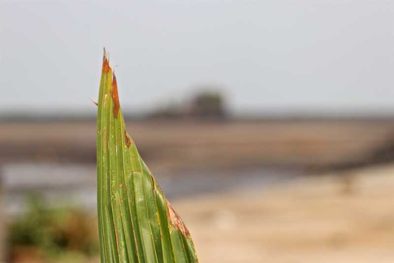 A Short Story Of Obsession