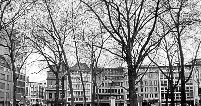 A Sketch Of Neumarkt Square